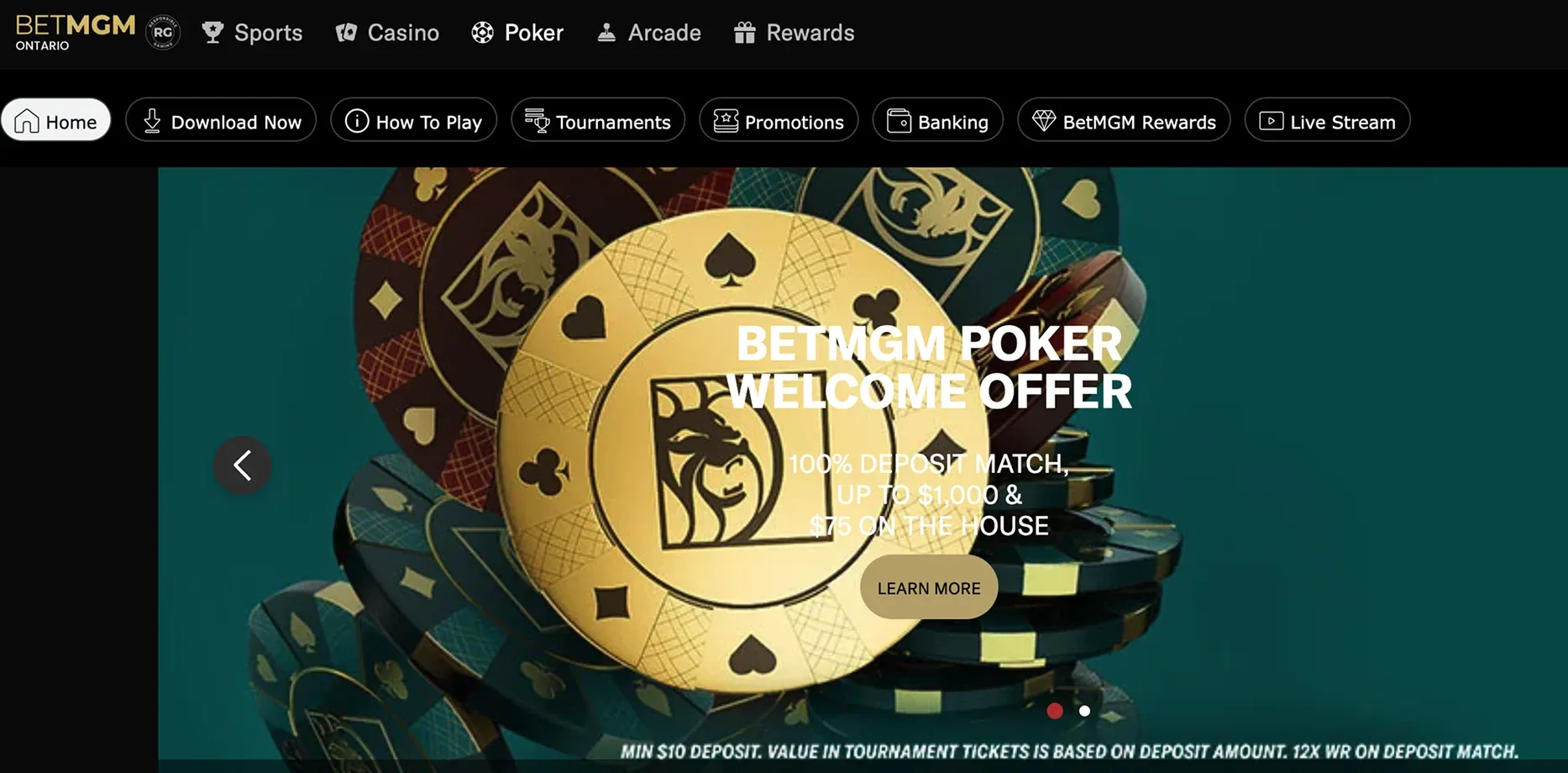 Betmgm Casino